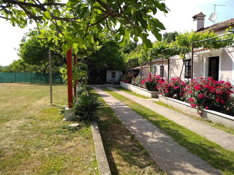 Kuća Lilla - Chambres d’hôtes