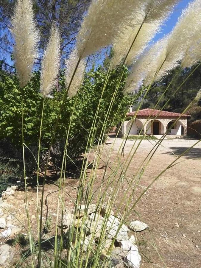 CASAS RURALES LA TOBICA - B&B