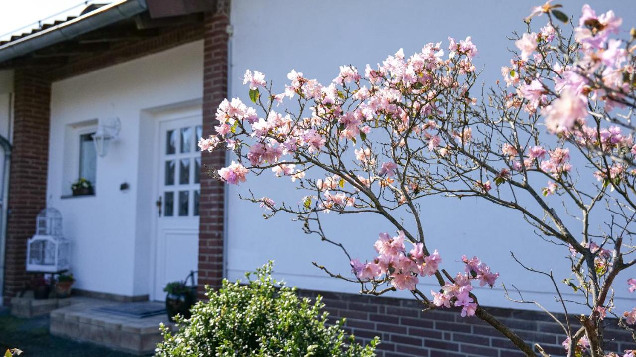 Ferienhaus Dornröschen - Ferienwohnung