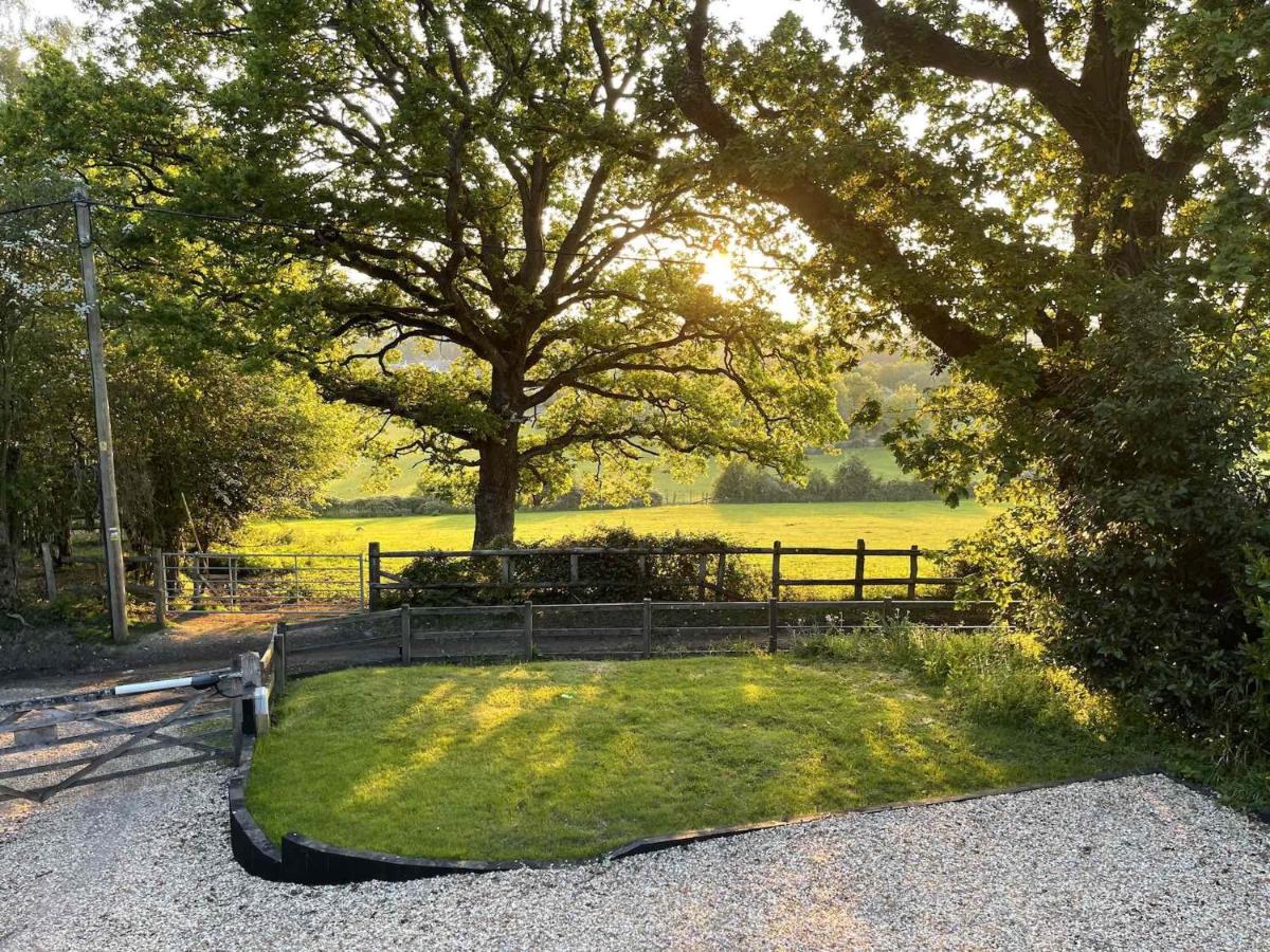 Little Patch - B&B Boldre