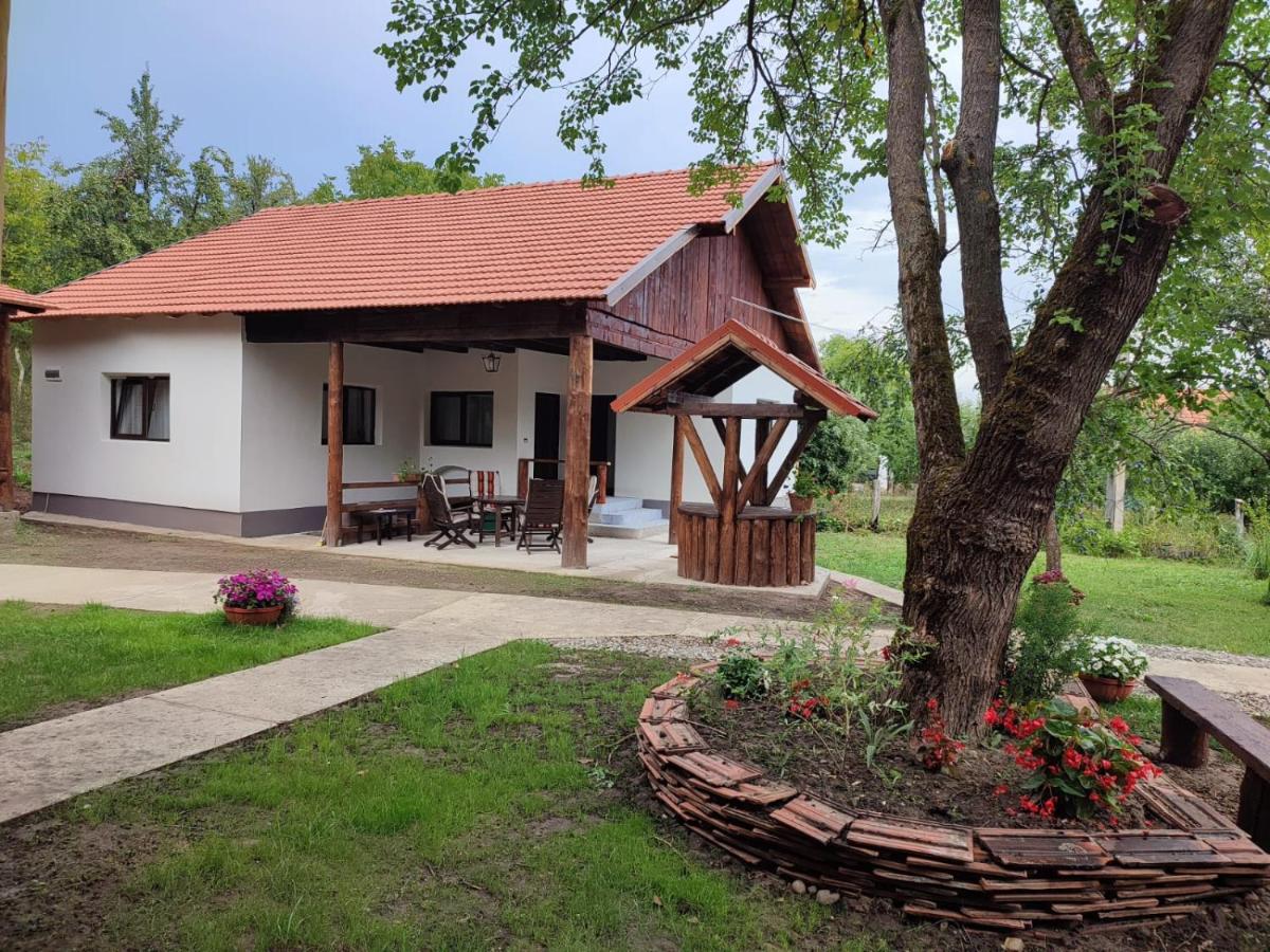 B&B Peșteana - Dumbrava Minunată - Bed and Breakfast Peșteana