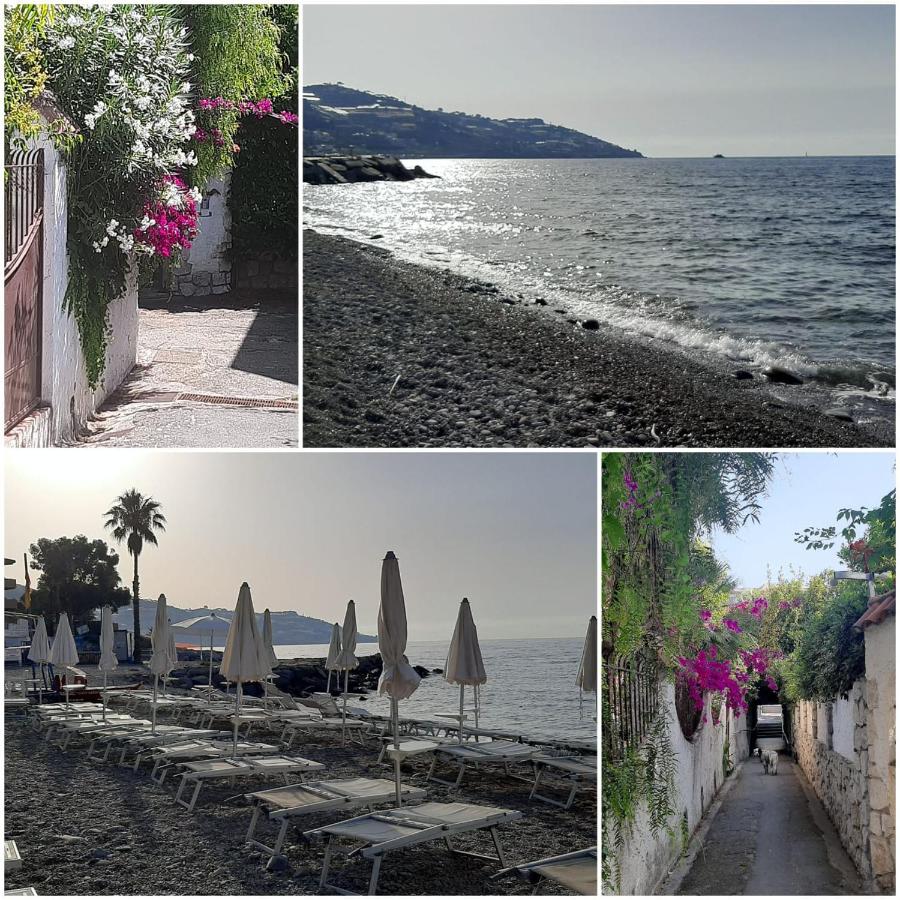 B&B Sanremo - ALMAREDASEDY1-Appartamento 50m dalla spiaggia con posto auto - Bed and Breakfast Sanremo