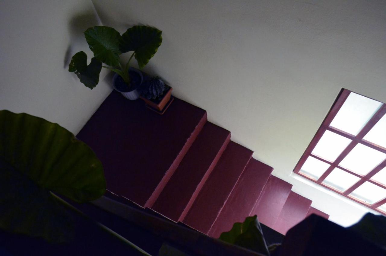 Apartments Nera - B&B
