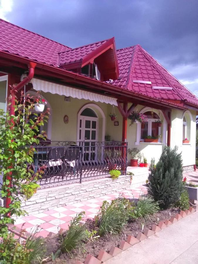 B&B Sânpetru - Casa Tenciu - Bed and Breakfast Sânpetru