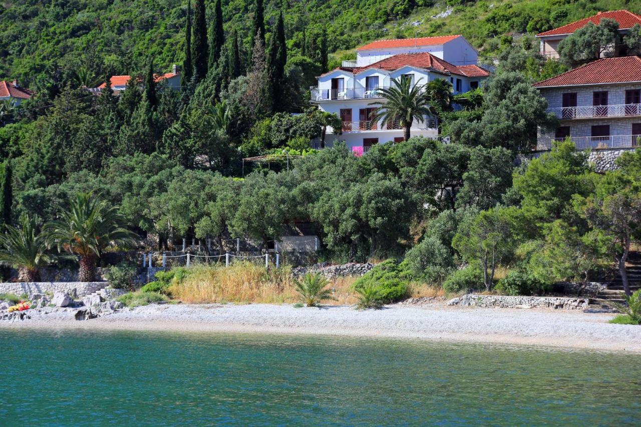 B&B Trpanj - Apartments and rooms by the sea Trpanj, Peljesac - 258 - Bed and Breakfast Trpanj