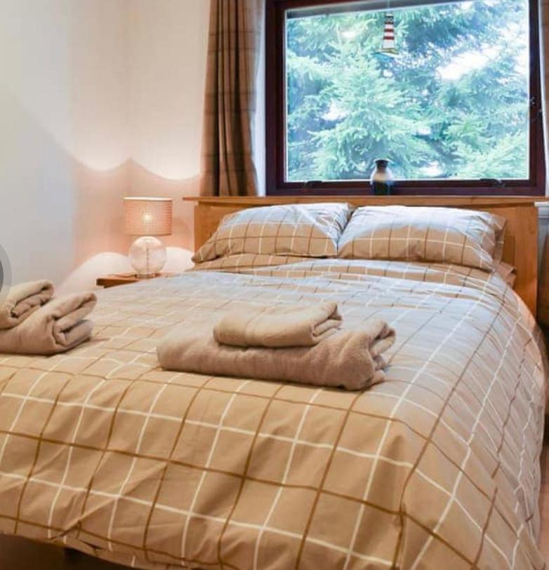Apartment mit 2 Schlafzimmern