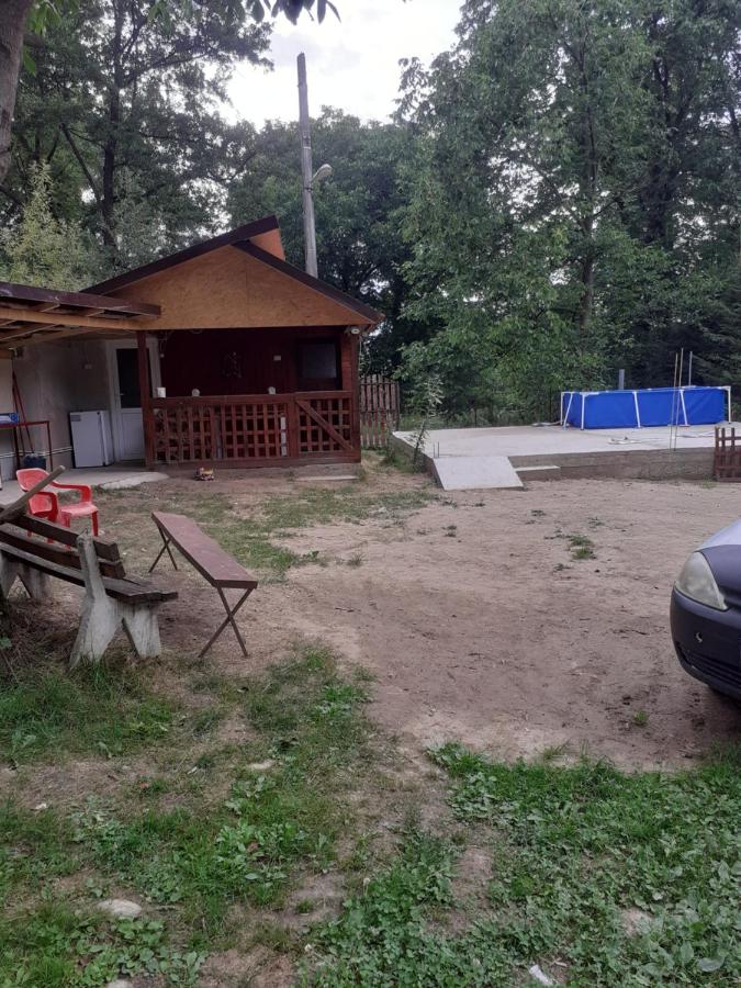 Pescărie La Nelu - B&B Ohaba-Sibișel