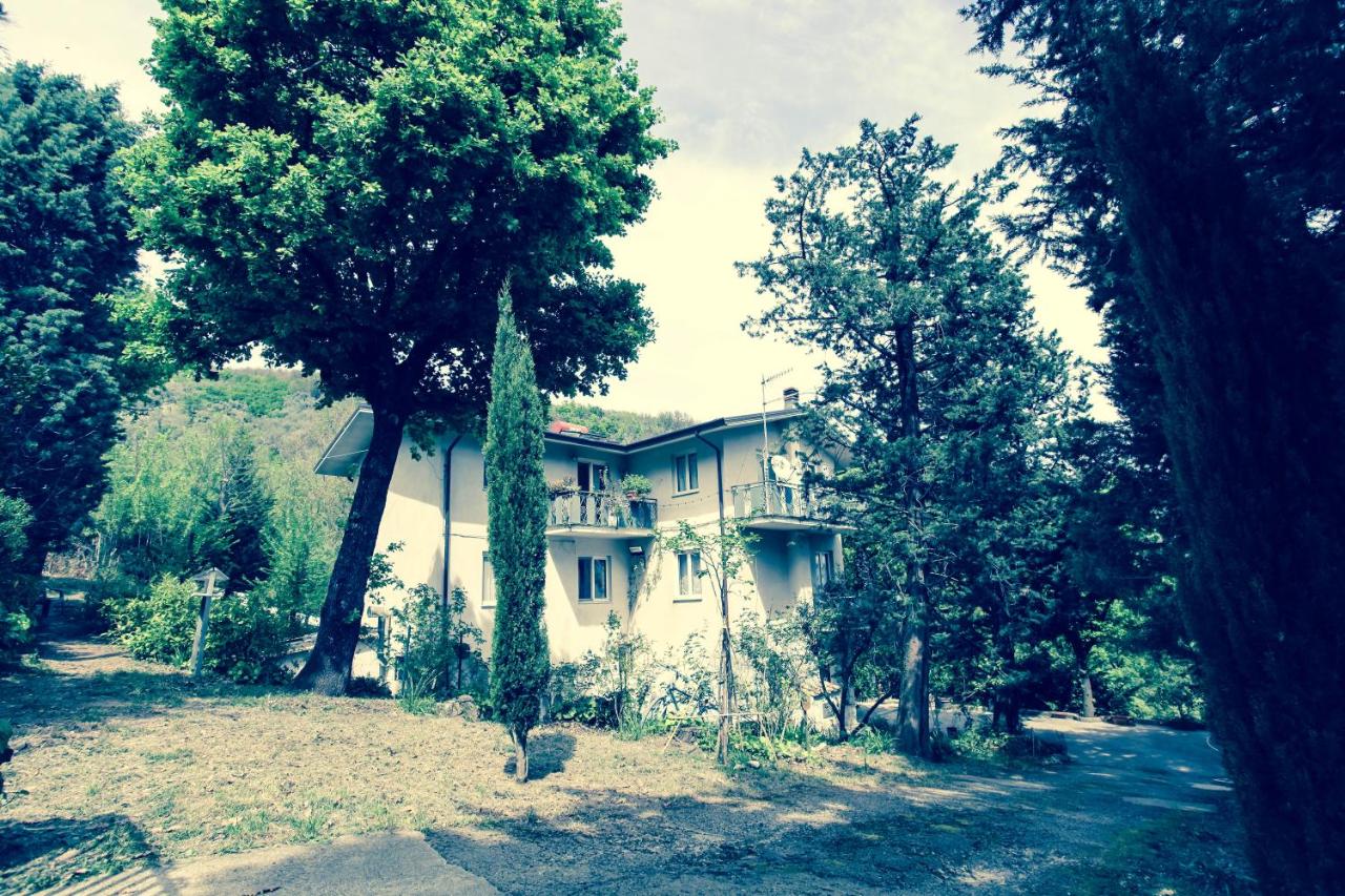La Quercia Antica B&B - B&B