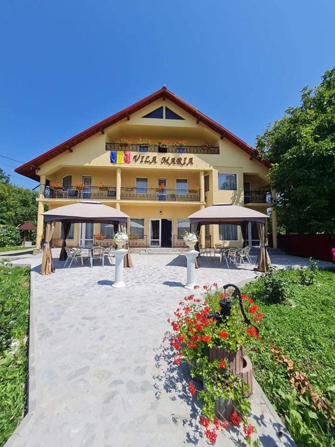 B&B Crăcăoani - Pensiunea Vila Maria - Bed and Breakfast Crăcăoani