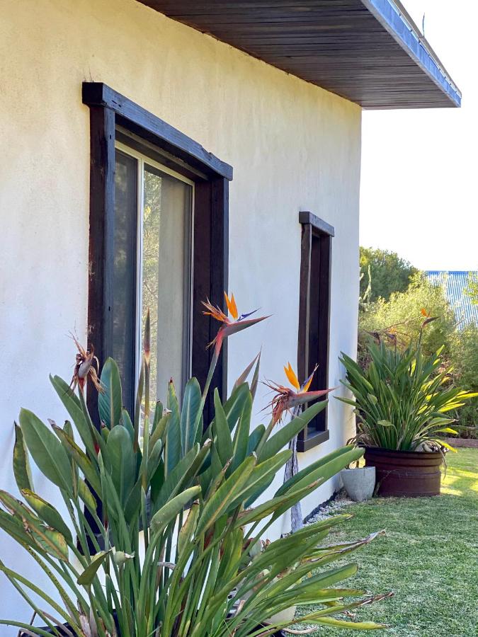 EcoLuxe - B&B