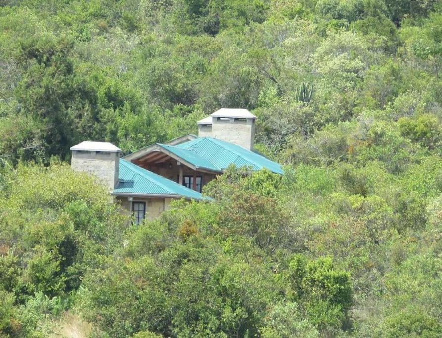 Chui Cottage with tennis facing Mt Kenya & near Ngare Ndare - Chambres d'hôtes Timau