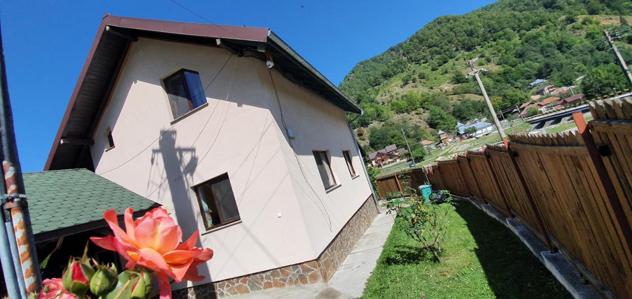 Casa Lotrilor - B&B