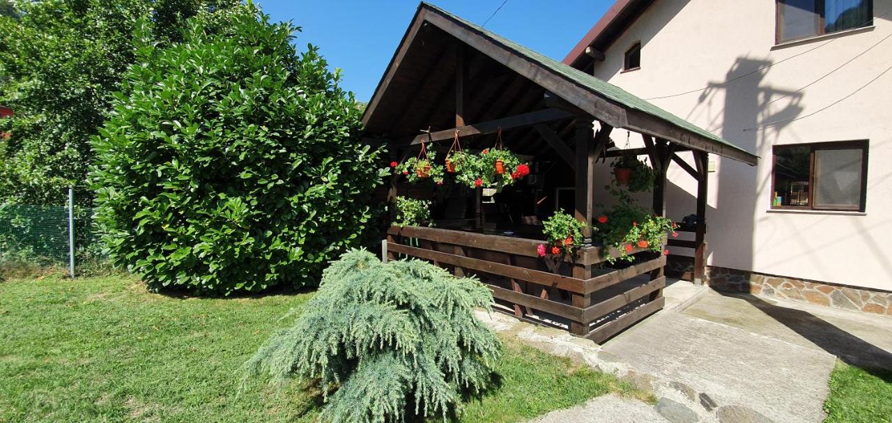 Casa Lotrilor - Ferienwohnung Malaia