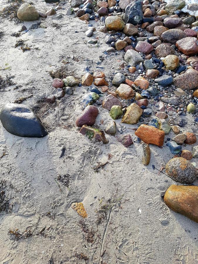 Strandappartement Steinberghaff "Farborg" mit Meerblick - Chambres d’hôtes Steinberg