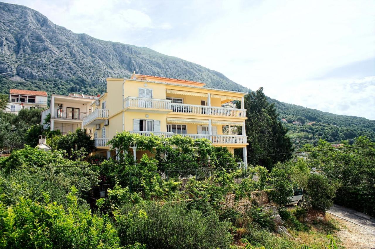 B&B Živogošće - Apartments and rooms by the sea Zivogosce - Porat, Makarska - 2733 - Bed and Breakfast Živogošće