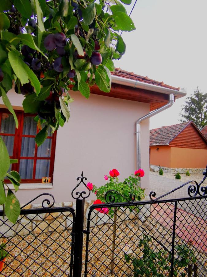 B&B Tolcsva - Szilvaliget Vendégház - Bed and Breakfast Tolcsva