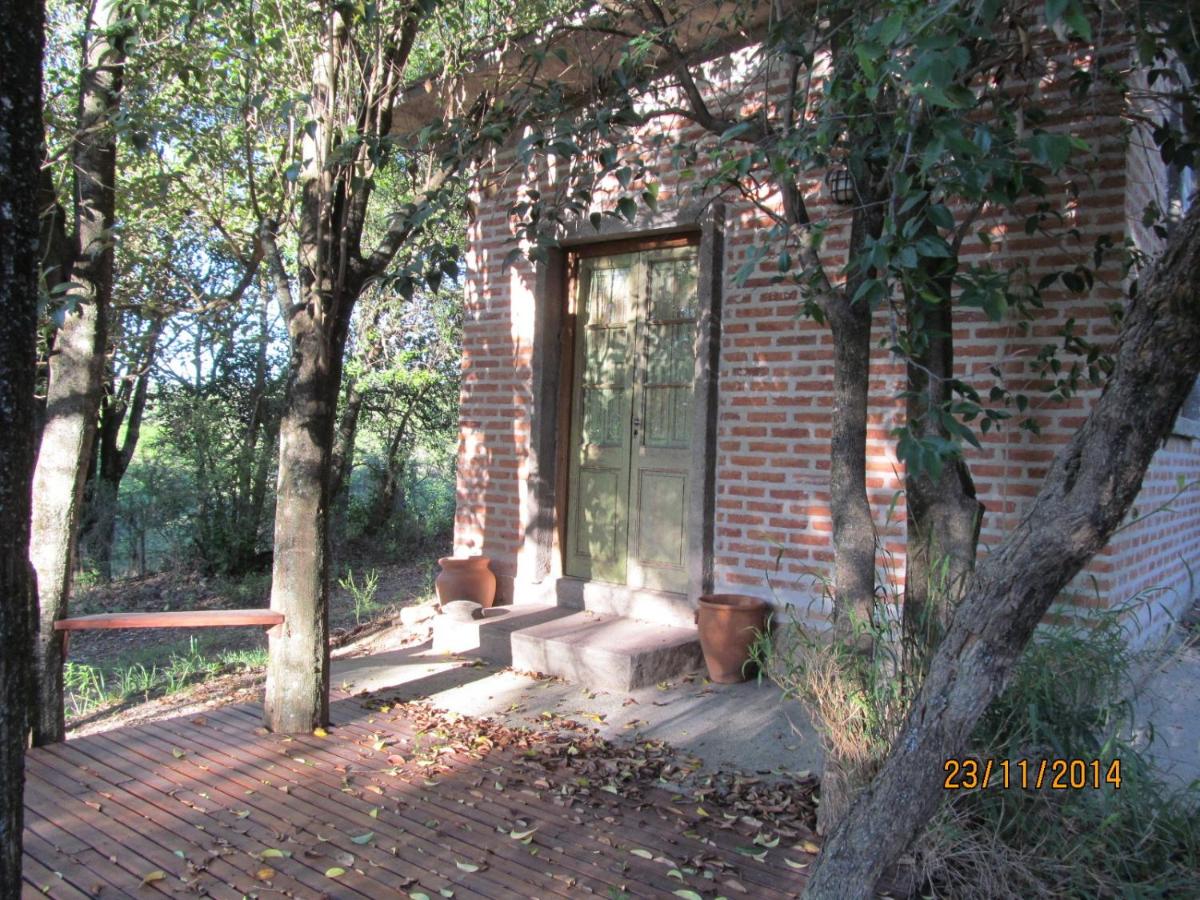 Bungalow mit Waldblick