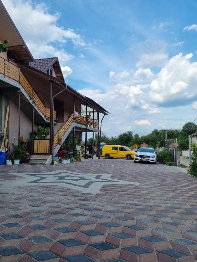 B&B Slăvitești - Casa Babu - Bed and Breakfast Slăvitești