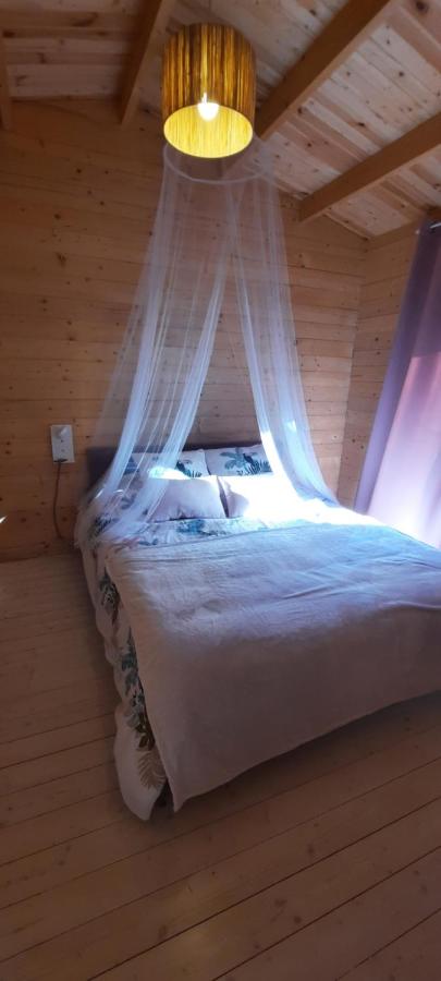 Chalet 1 chambre 2-4 personnes - Ferienwohnung