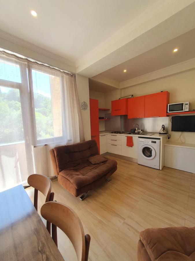 Bakuriani K-2 Apartment - Chambres d’hôtes Bakuriani