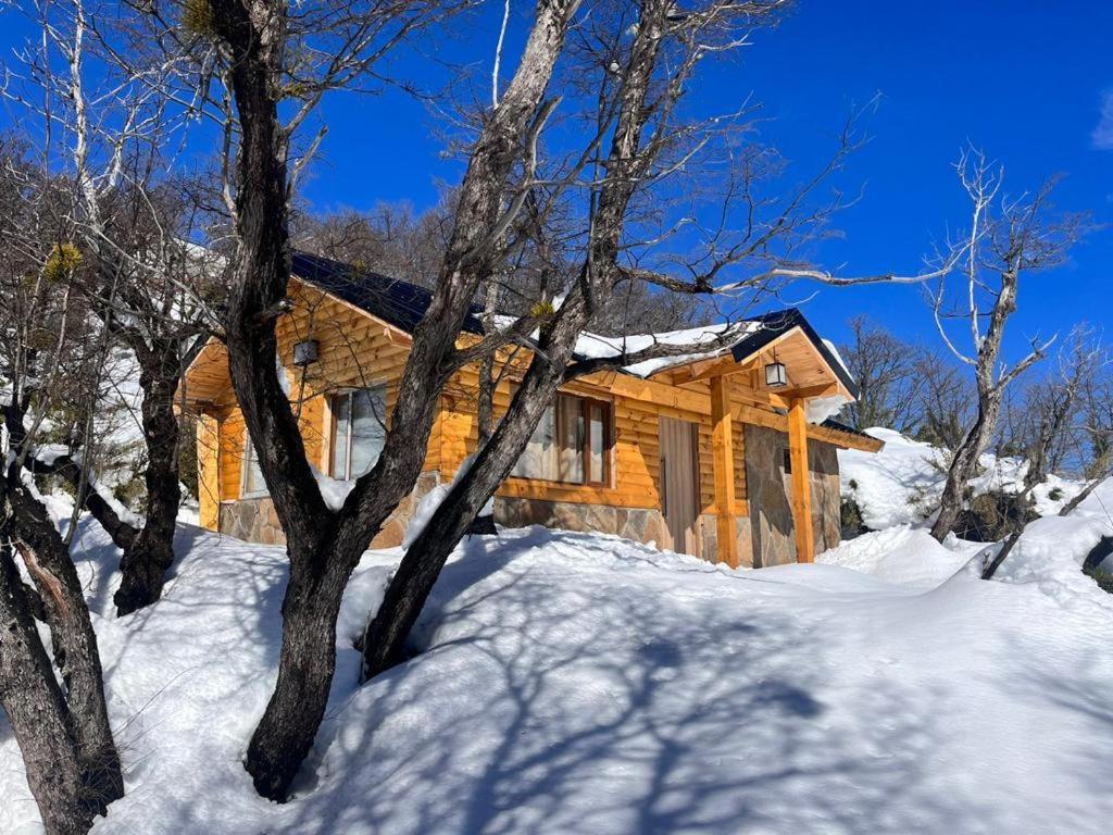 One-Bedroom Chalet