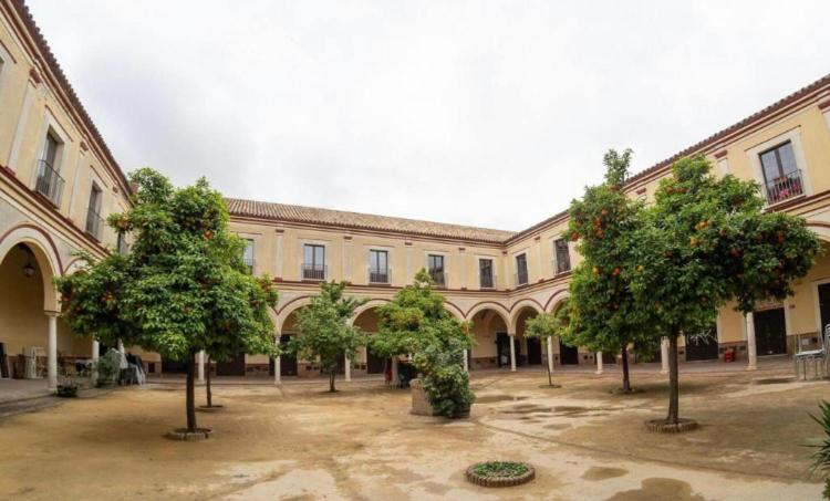 Apartamento Cabildo - Ferienwohnung