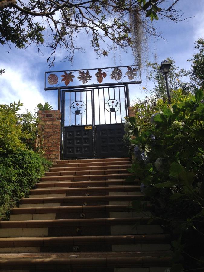 Finca Cardonales - B&B