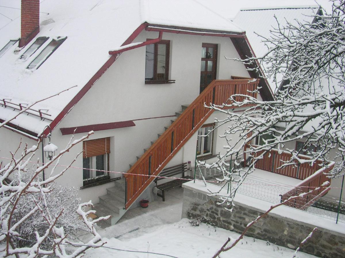 Apartments Dvor - B&B Plezzo