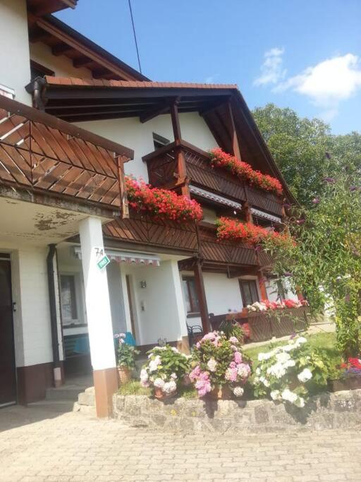 B&B Zell im Wiesental - Blumenhof - ERHOLUNG PUR, traumhafte Aussicht - Bed and Breakfast Zell im Wiesental