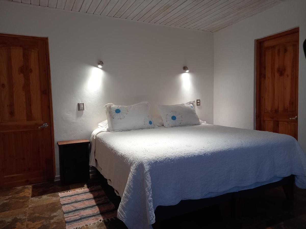 Bungalow Deluxe - Vue sur Mer