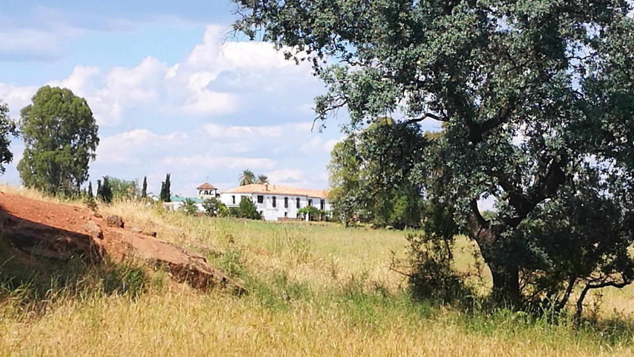 Finca el Vizconde - Naturaleza con tus hijos - B&B Arquillos