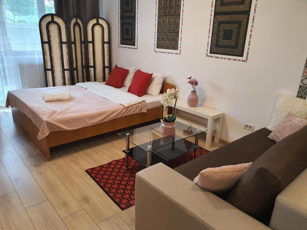 Studio Appartement