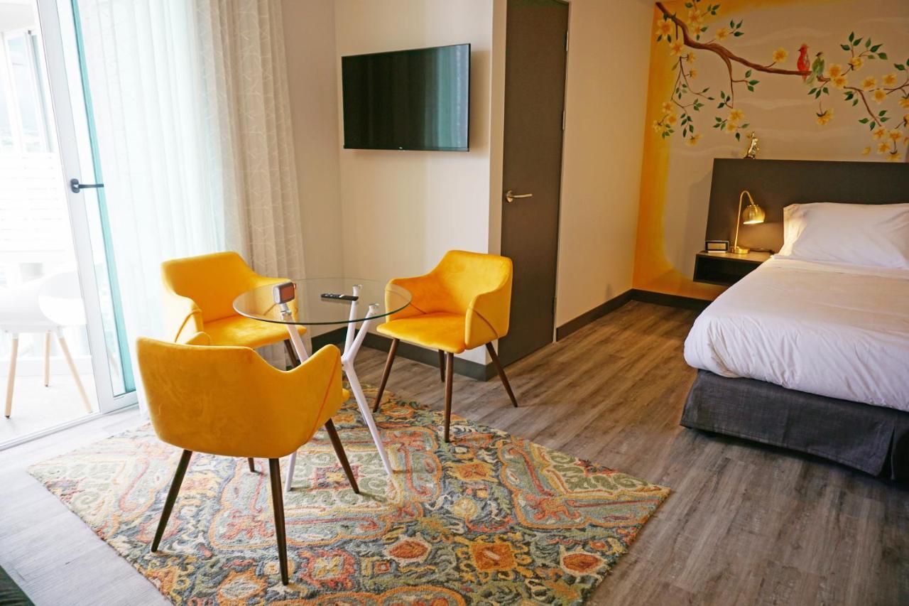 Appartement 1 Chambre