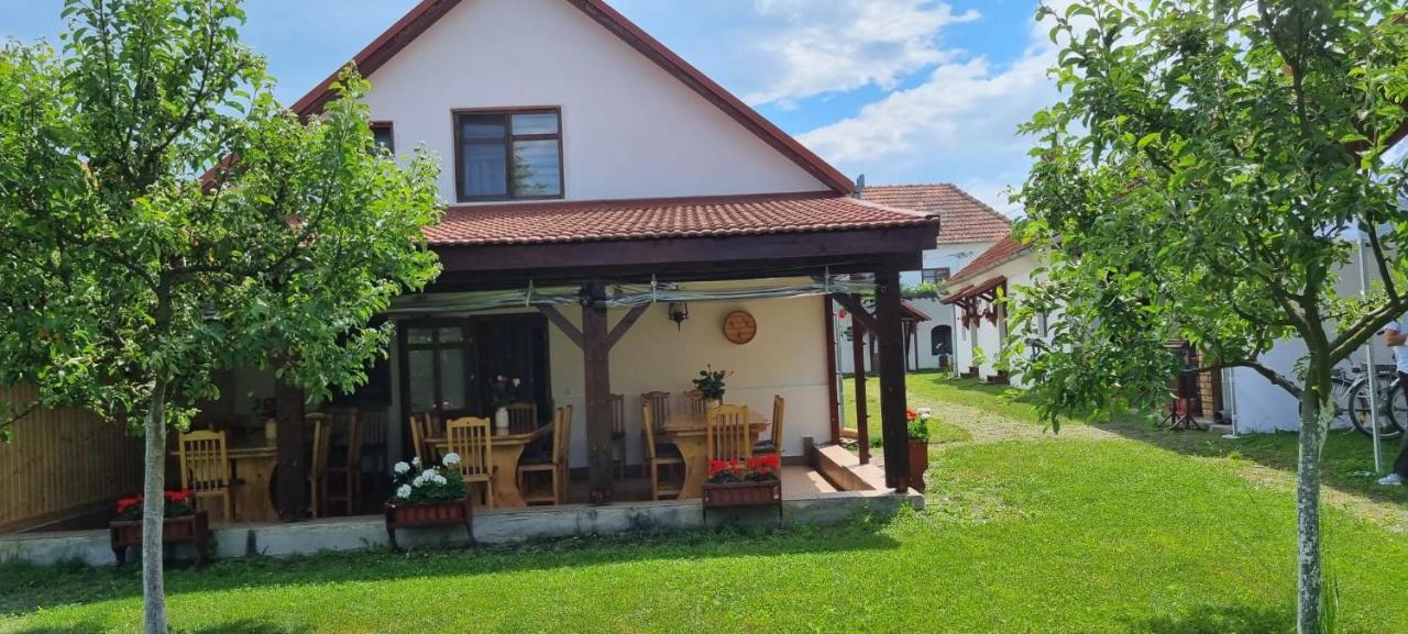 Casa Cânda - B&B Sălaşu de Sus