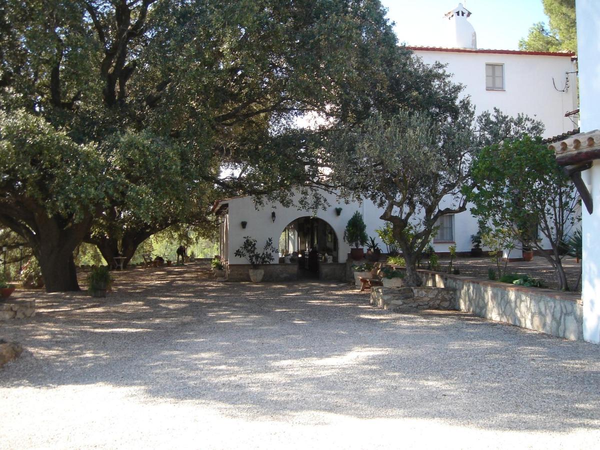 Masia Rural Les Alsines - B&B