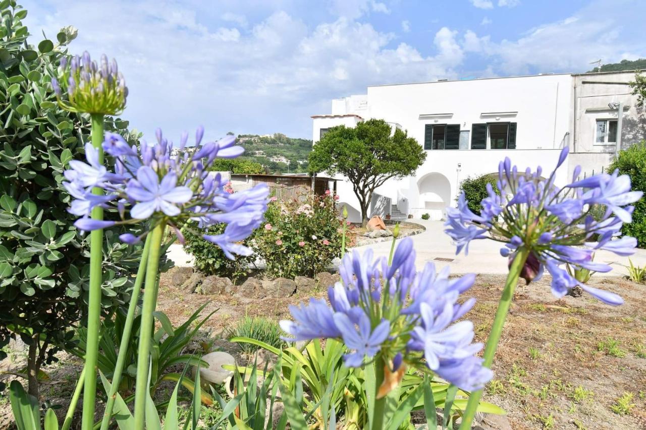 Casa Lucia - B&B Ischia