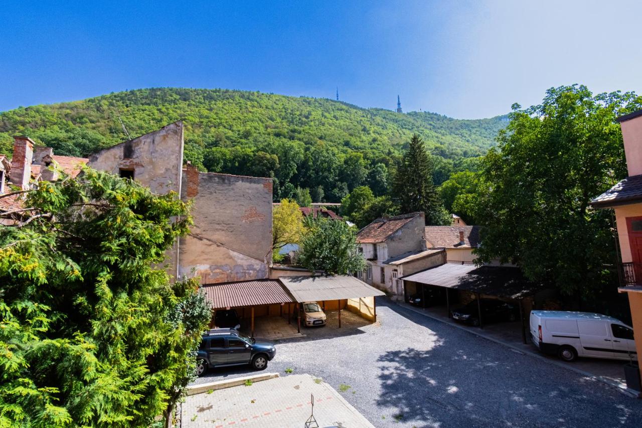 Black Gate - Quiet Studio in the Heart of Old Town with Free Private Secured Parking - Chambres d'hôtes Braşov