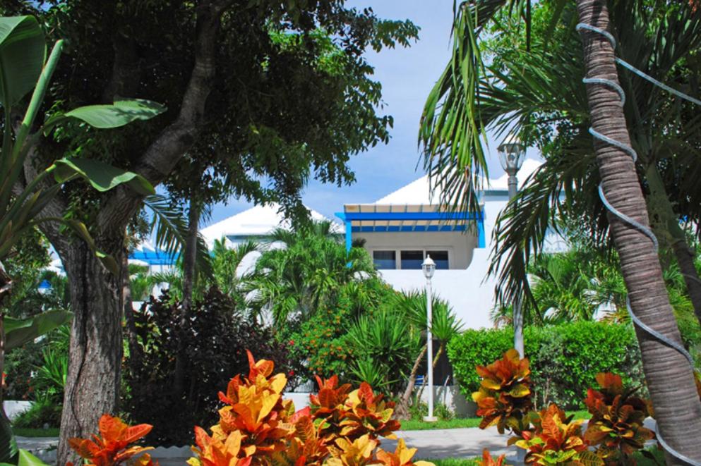Perfect Island Retreat at Paradise Island Beach Club Villas - Bed and Breakfast