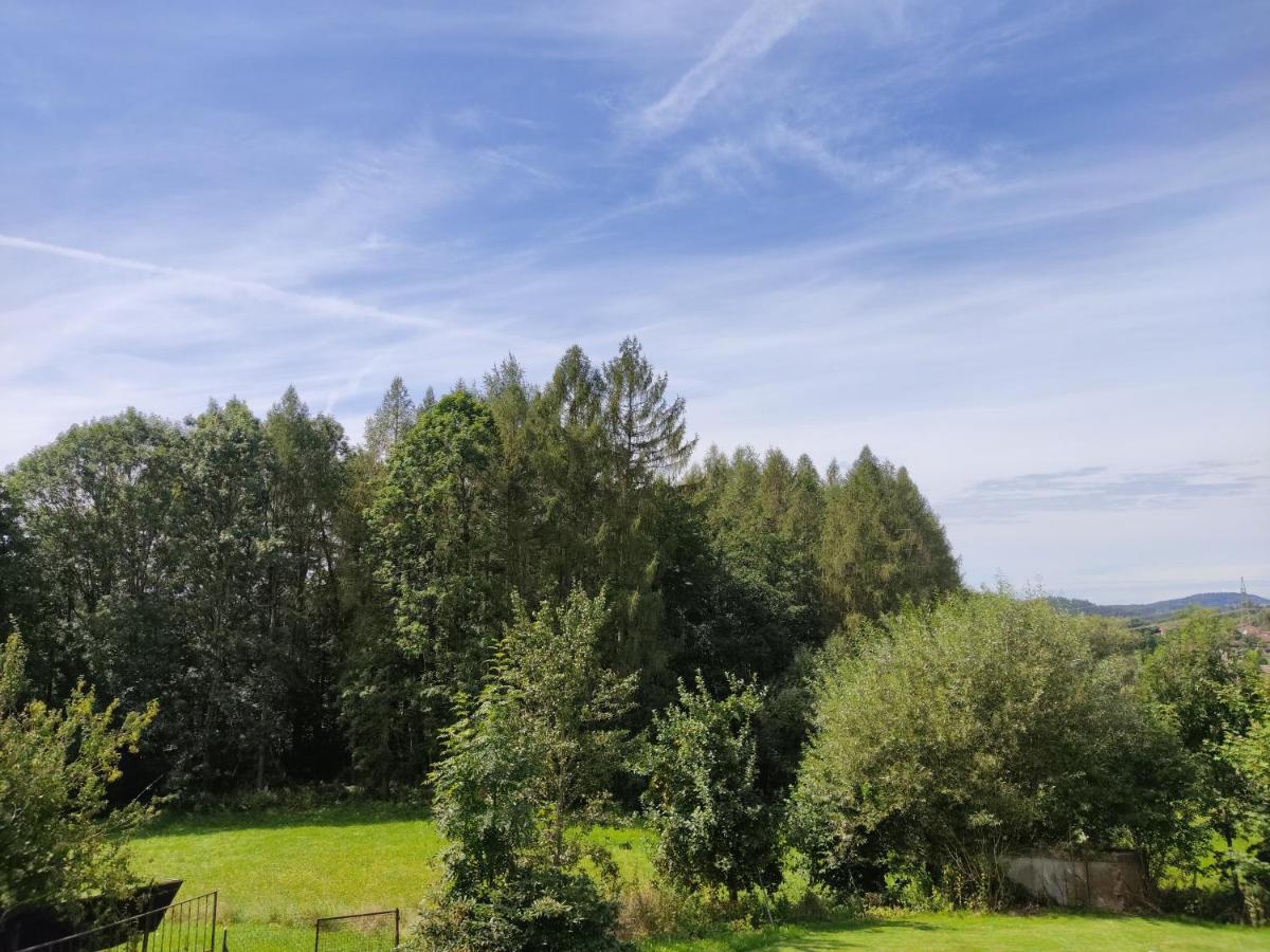 Pension Bachlhof - Ferienwohnung