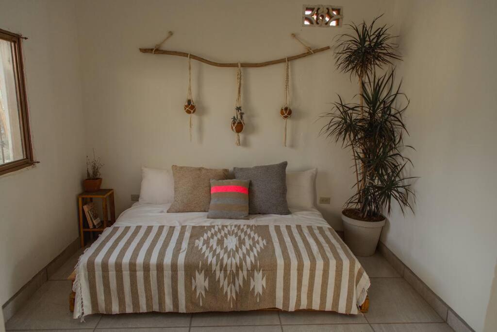 B&B Todos Santos - Cien Palmas- Authentic Mexican Casita 2 -Downtown - Bed and Breakfast Todos Santos