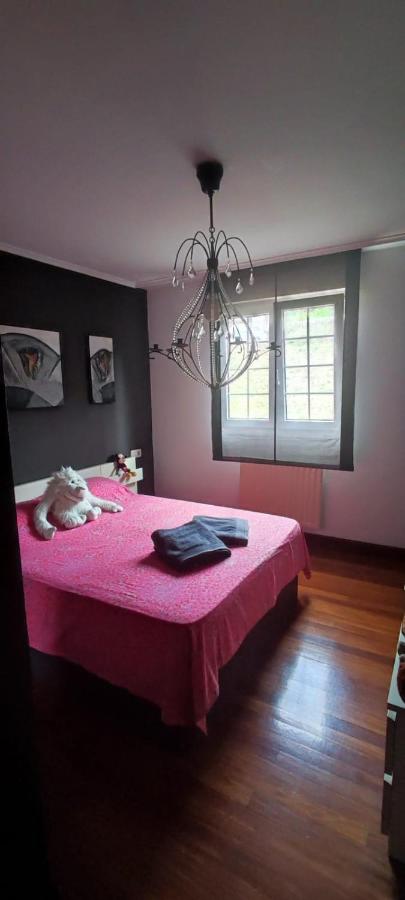 B&B Bilbao - NALA HOUSE, acogedor,bien comunicado,aparcamiento gratis en la calle - Bed and Breakfast Bilbao