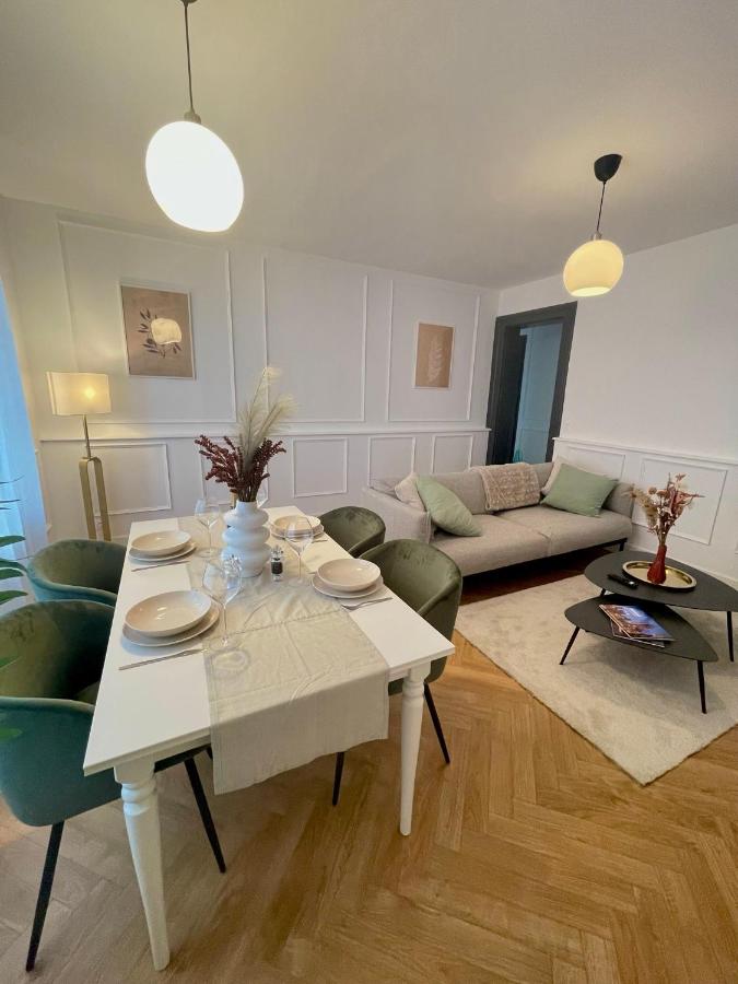 JungleClassic en plein cœur de Mulhouse - B&B Mulhouse