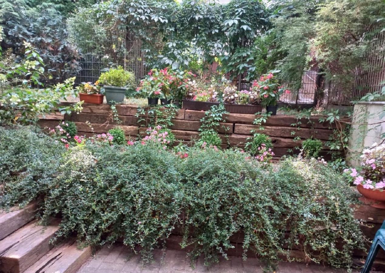 Apartament Sadul - Ferienwohnung