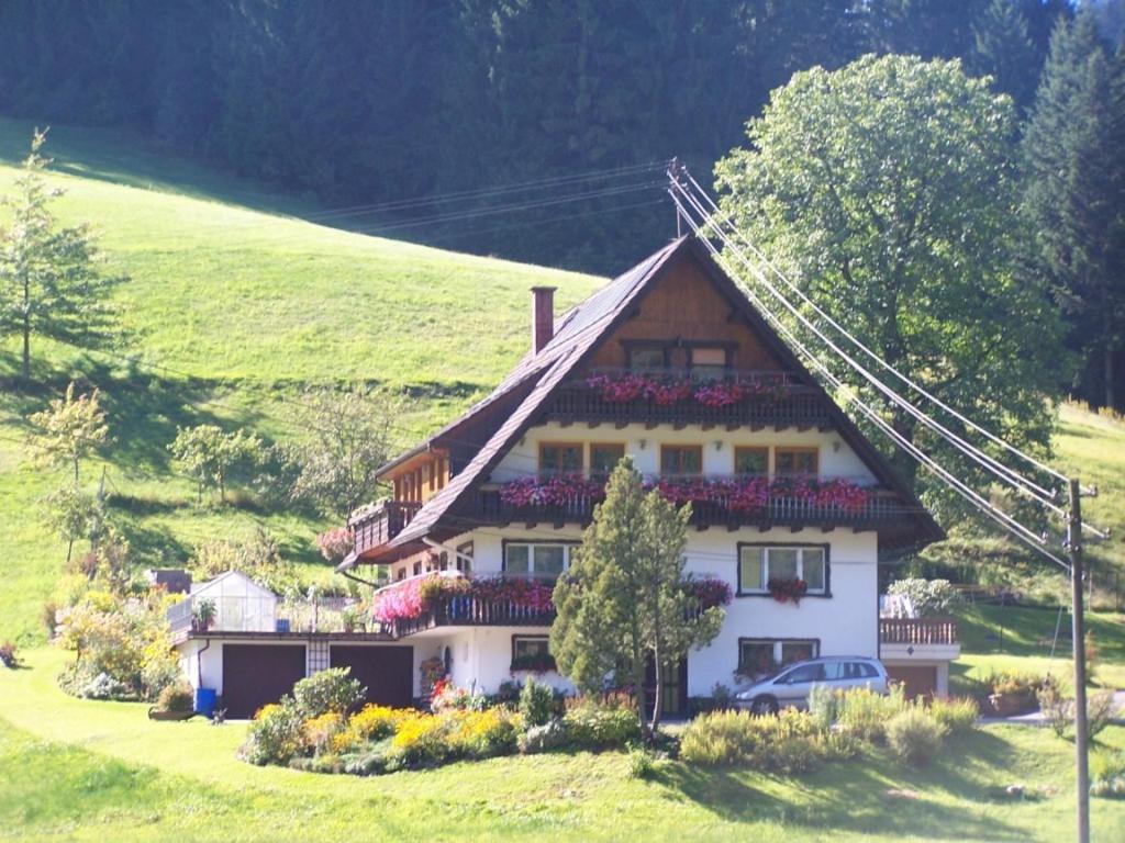 B&B Bad Rippoldsau-Schapbach - Gästehaus Schoch - Bed and Breakfast Bad Rippoldsau-Schapbach