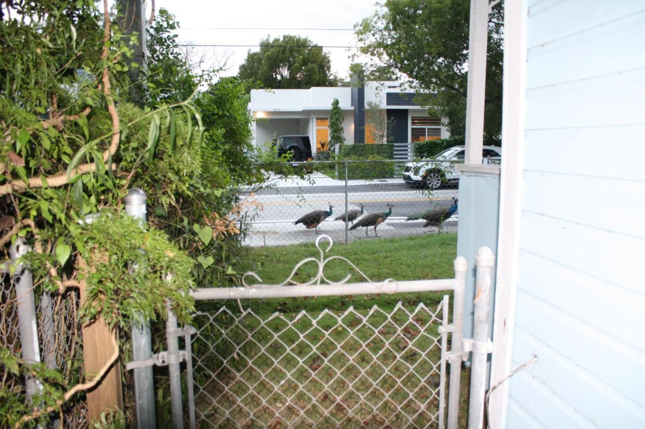 Key West Style Historic Home in Coconut Grove Florida, The Blue House - B&B
