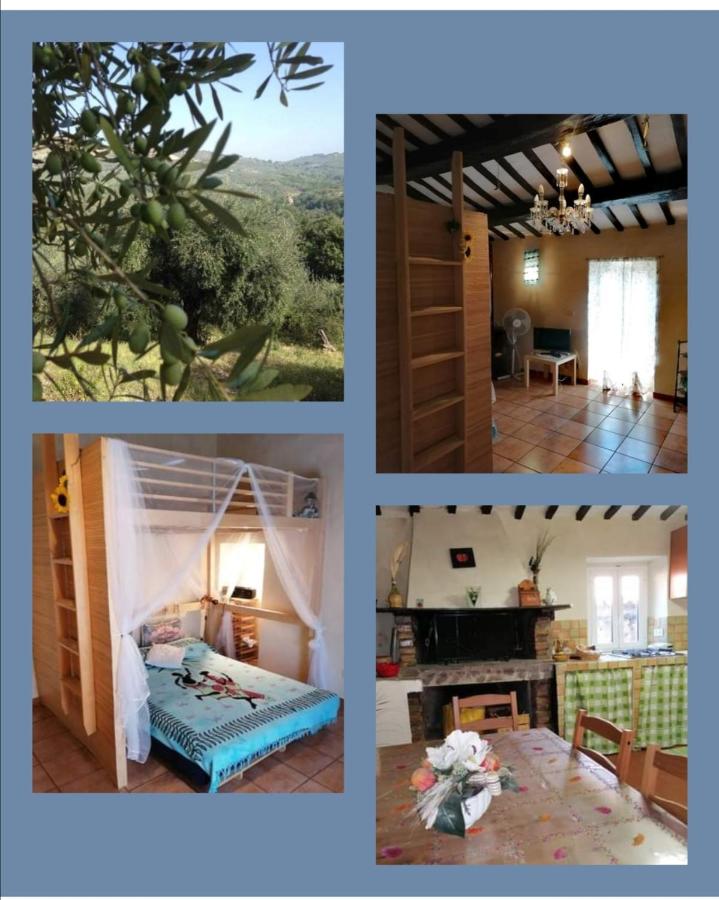 B&B Ponticelli - Casa di Olly - Loft incantevole con camino - Bed and Breakfast Ponticelli