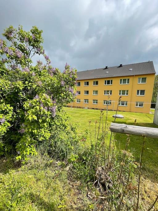 Franzis Feriendomizil im Herzgebirge am Skihang - Ferienwohnung
