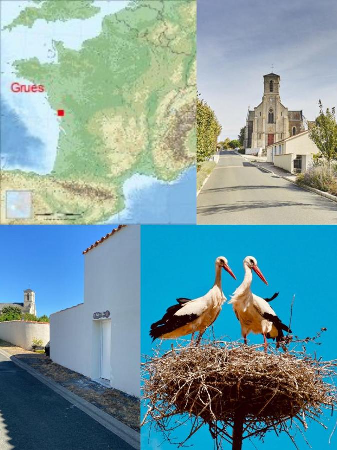 Galta des Matrus Appartement cosy 8kms de l Océan - B&B