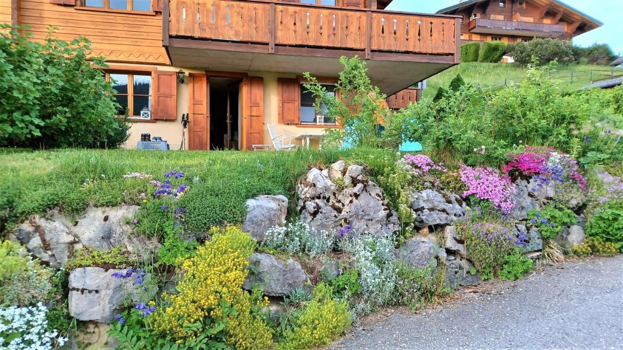 B&B Les Diablerets - Le Sapin - Bed and Breakfast Les Diablerets