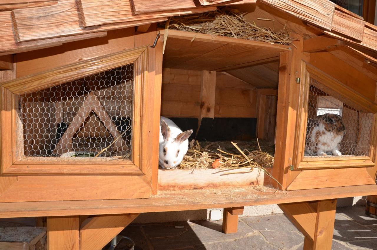 Haus Sonnblick - B&B